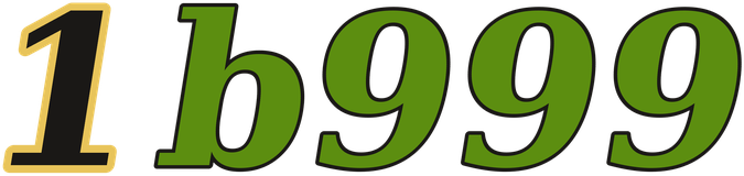 1b999 logo